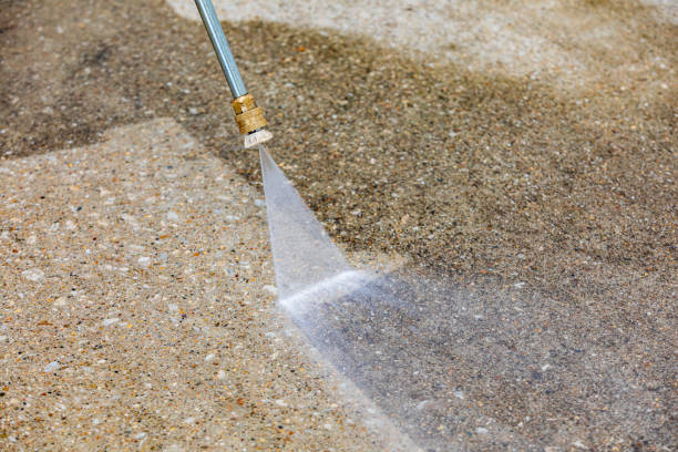 Best Sidewalk and Walkway Cleaning  in Tidmore Bend, AL